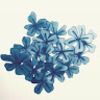 ad_orbit